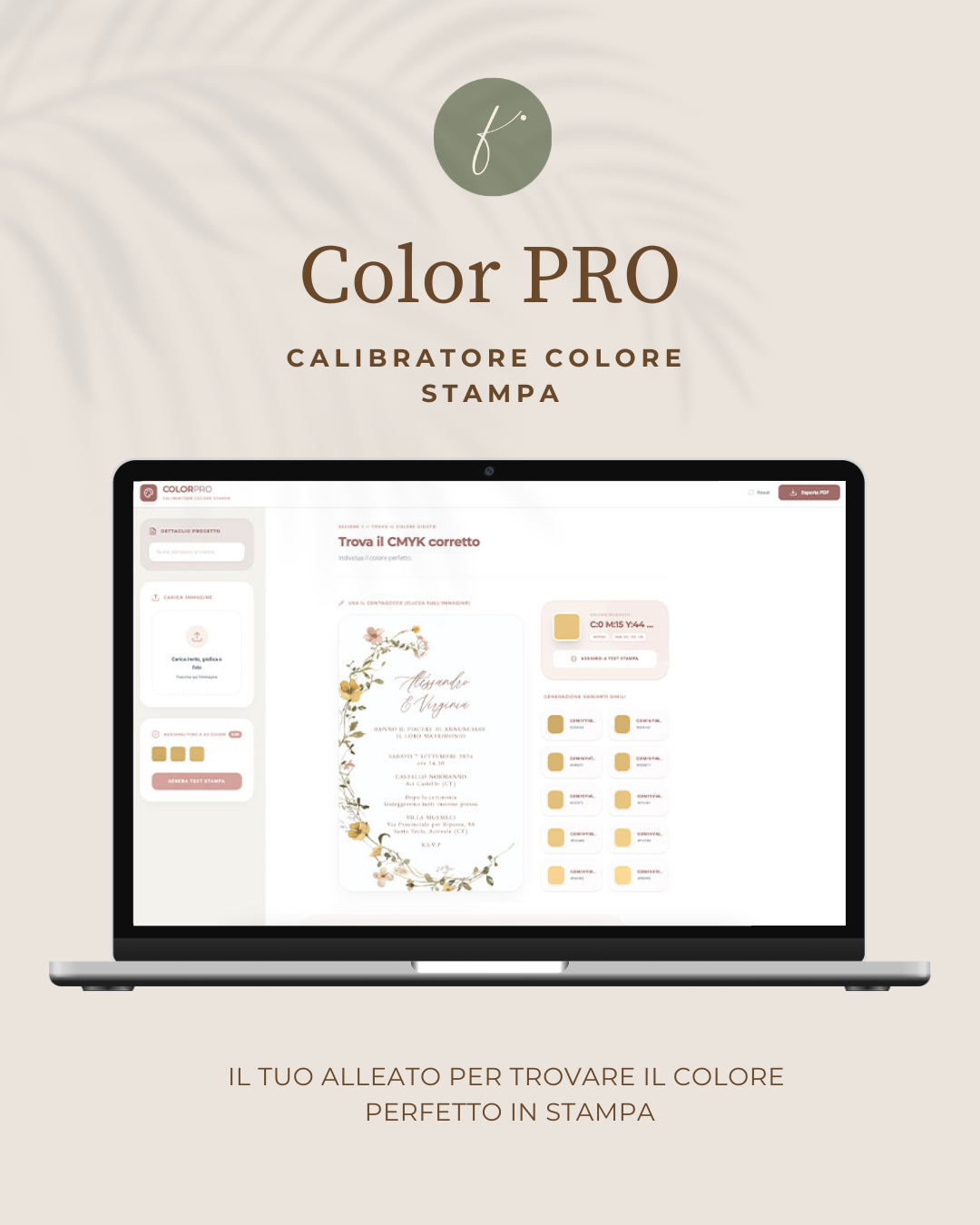 Color Pro